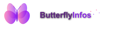 ButterflyInfos