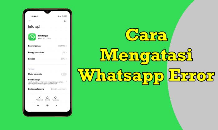 Cara Memperbaiki WA Error
